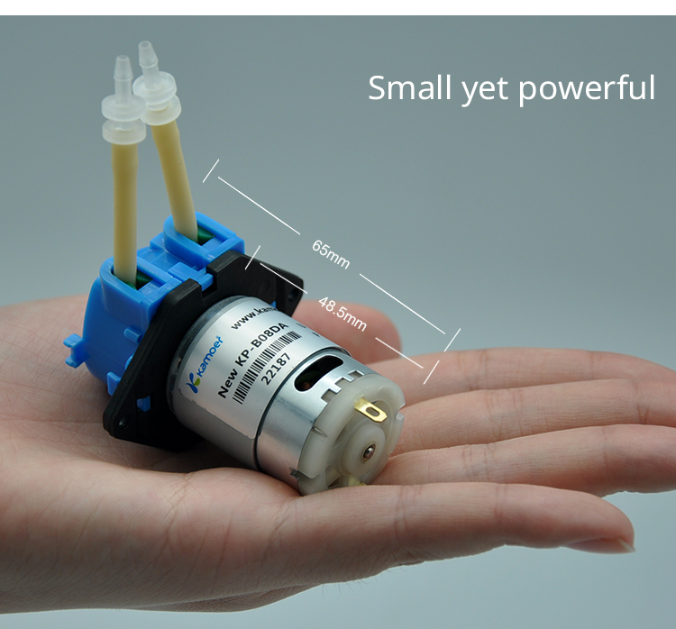 Новый бесшумный перистальтичес – обзор и цена Dc Motor 12V