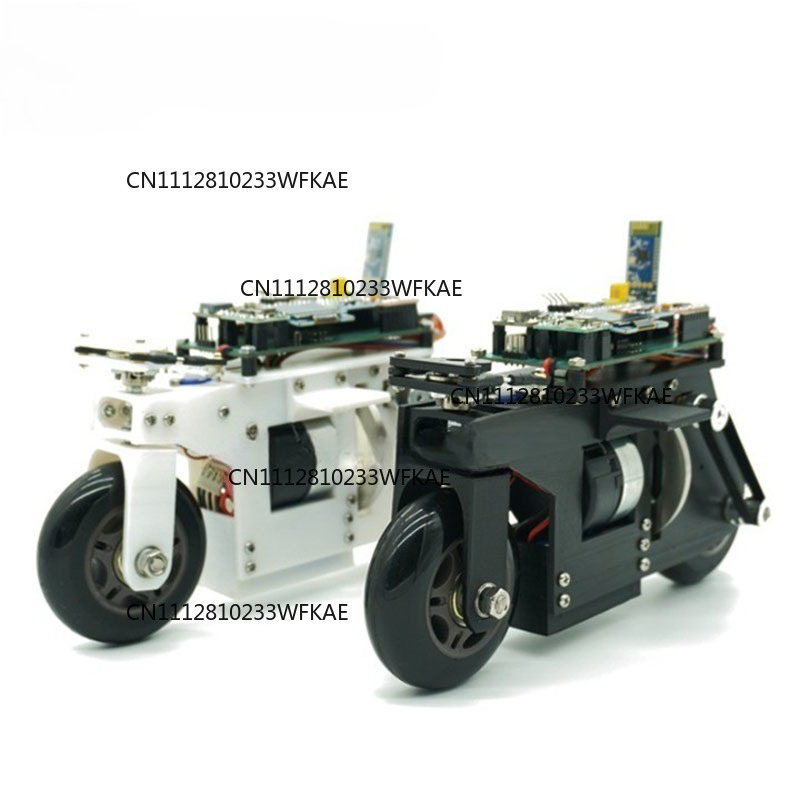 2WD RC балансировочный мотоцик – обзор и цена Stm32 Robot